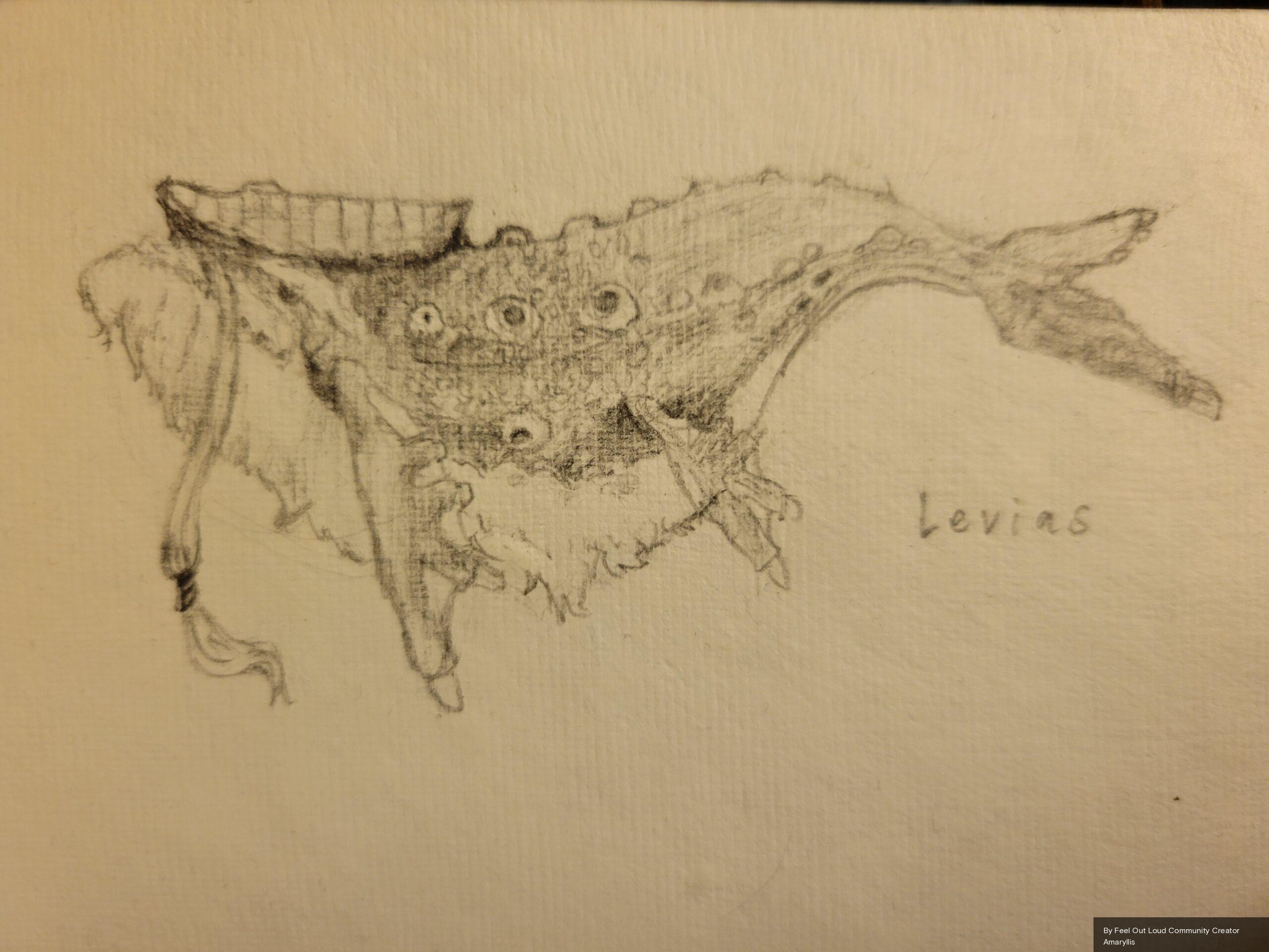 Community Creator sketch of Gentle Giant, Levias